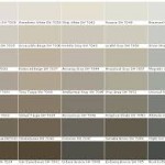 Wall Paint Colors