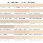 Wall Paint Colors