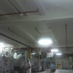 Food Plant Manufacturing Plant Painting