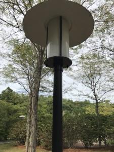 Light Pole Painting Services