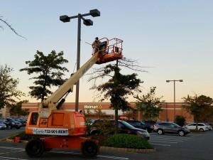 Light Pole Painting | RSP Painting | 800-538-6723